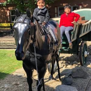 Meet your Posher, Leonel